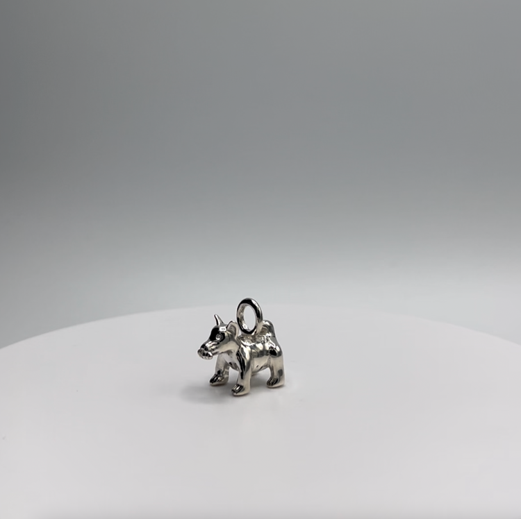 Charms