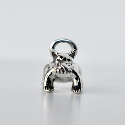 Tlalchichi (Small) Charm
